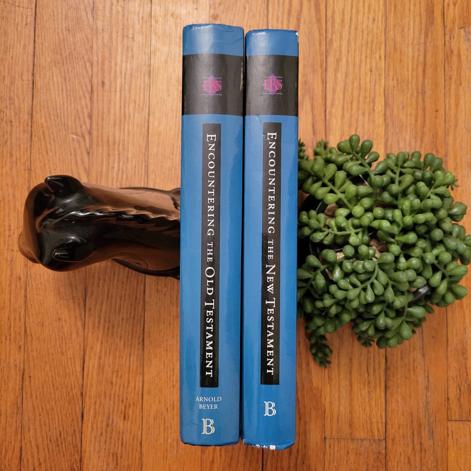 Baker Academic Encountering Old and New Testament Set 2nd Ed Biblical Studies