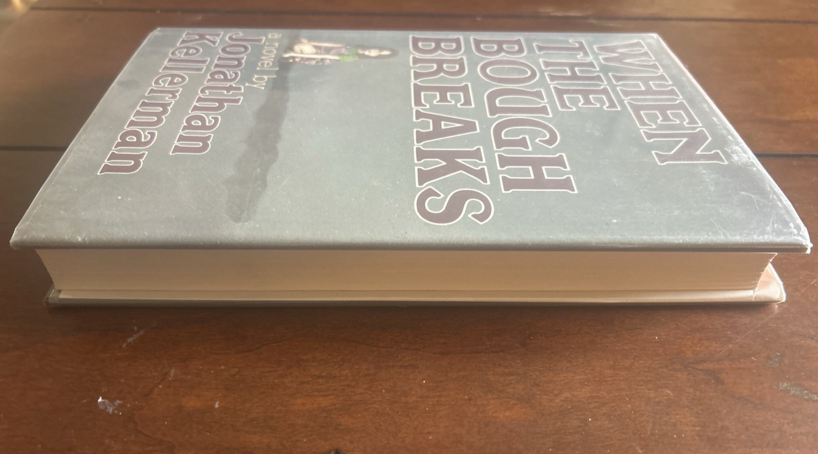 When the Bough Breaks Jonathan Kellerman 1985 First Edition HC DJ Alex Delaware