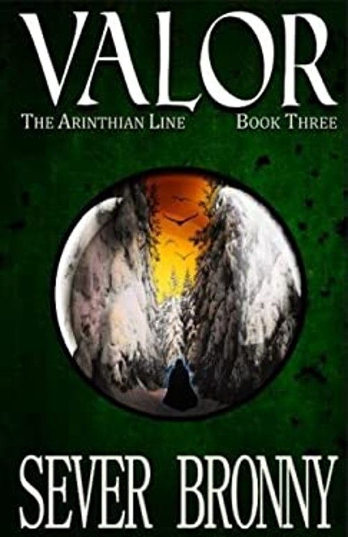 Valor The Arinthian Line Volume 3 Sever Bronny