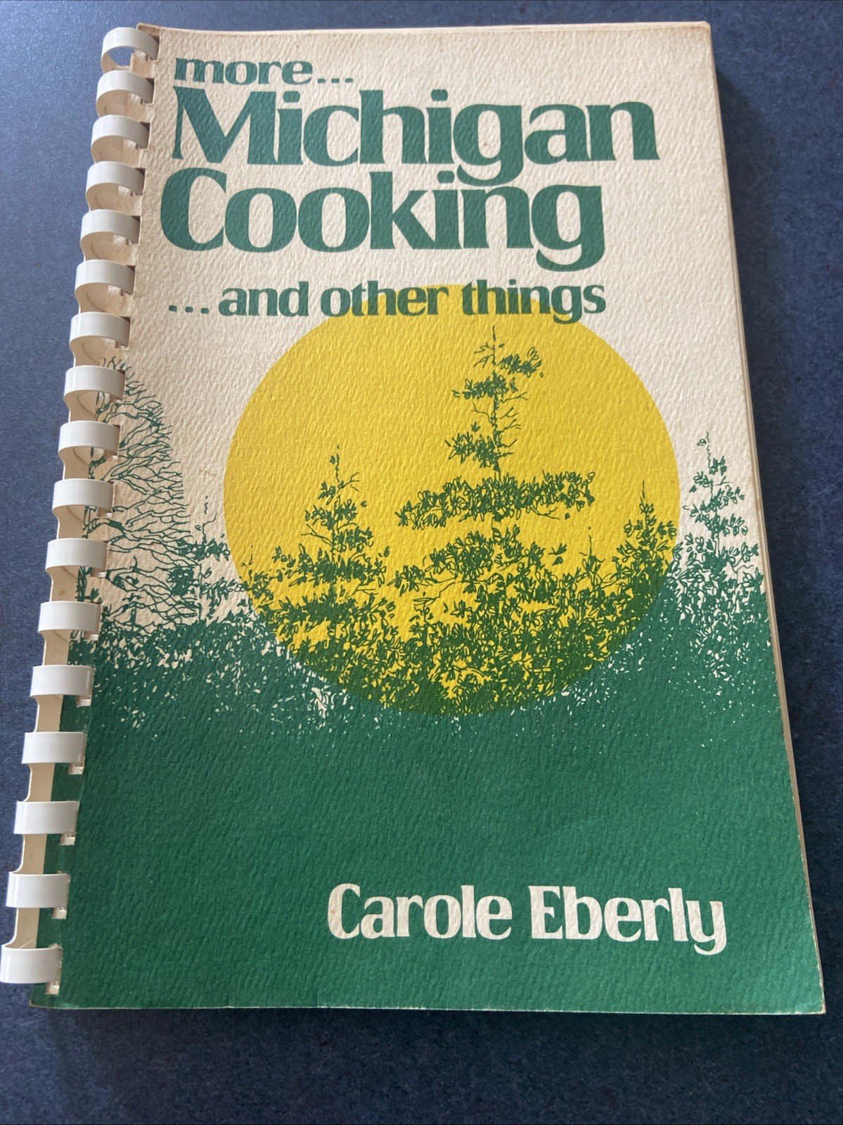 1981 Michigan Cookbook Carole Eberly Regional Recipes Spiral Lansing MI Vintage