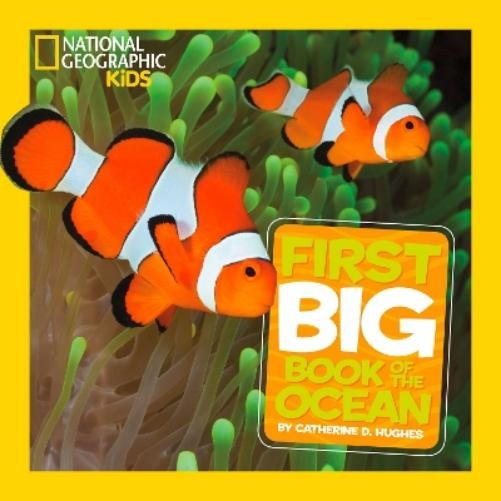 Catherine D. Hughes Little Kids First Big Book of The Ocean (Hardback)