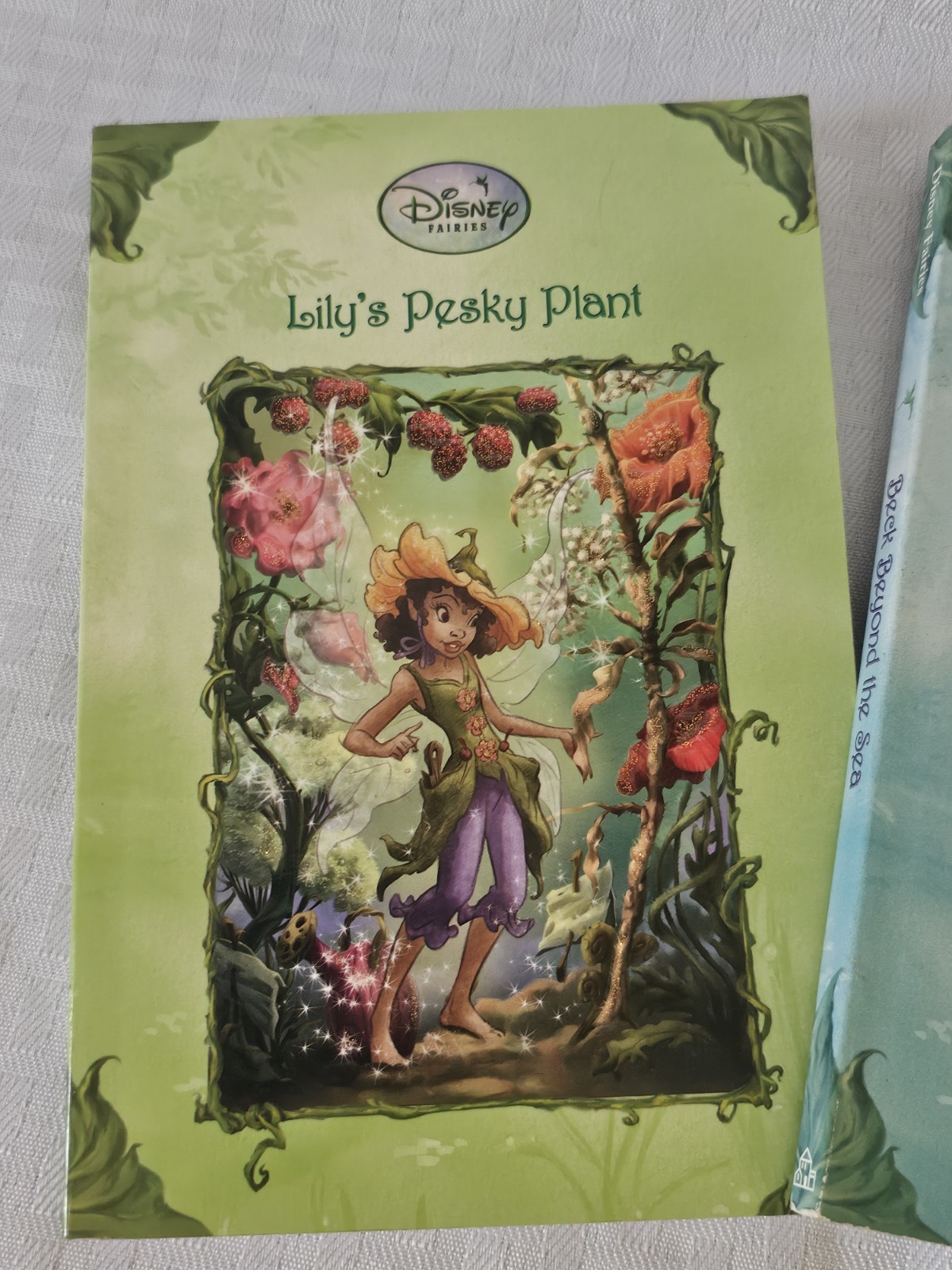 Lot Of 3 Disney Fairies Paperback Books – Very Good Condition