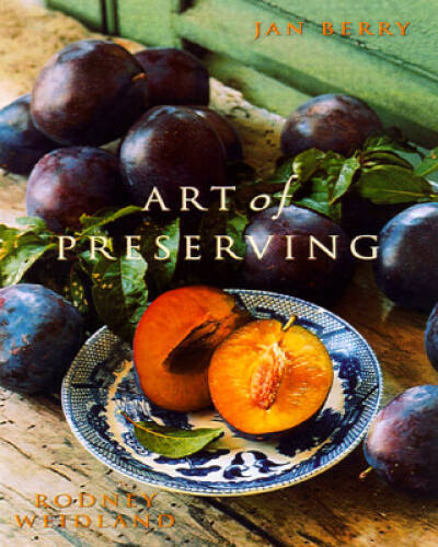 Art of Preserving – Paperback By Berry, Jan – GOOD