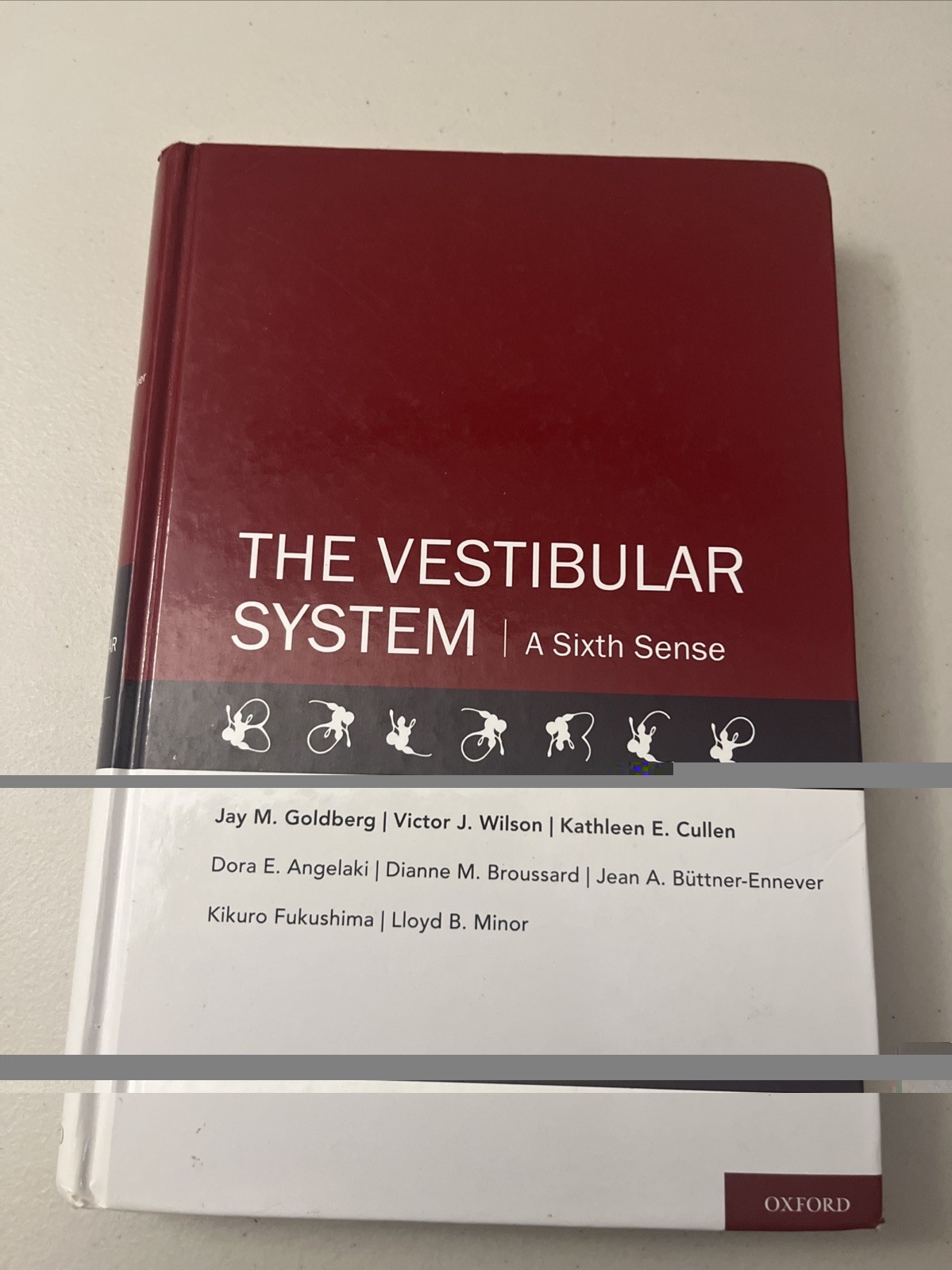 The Vestibular System: A Sixth Sense by Kathleen E. Cullen Textbook 2012