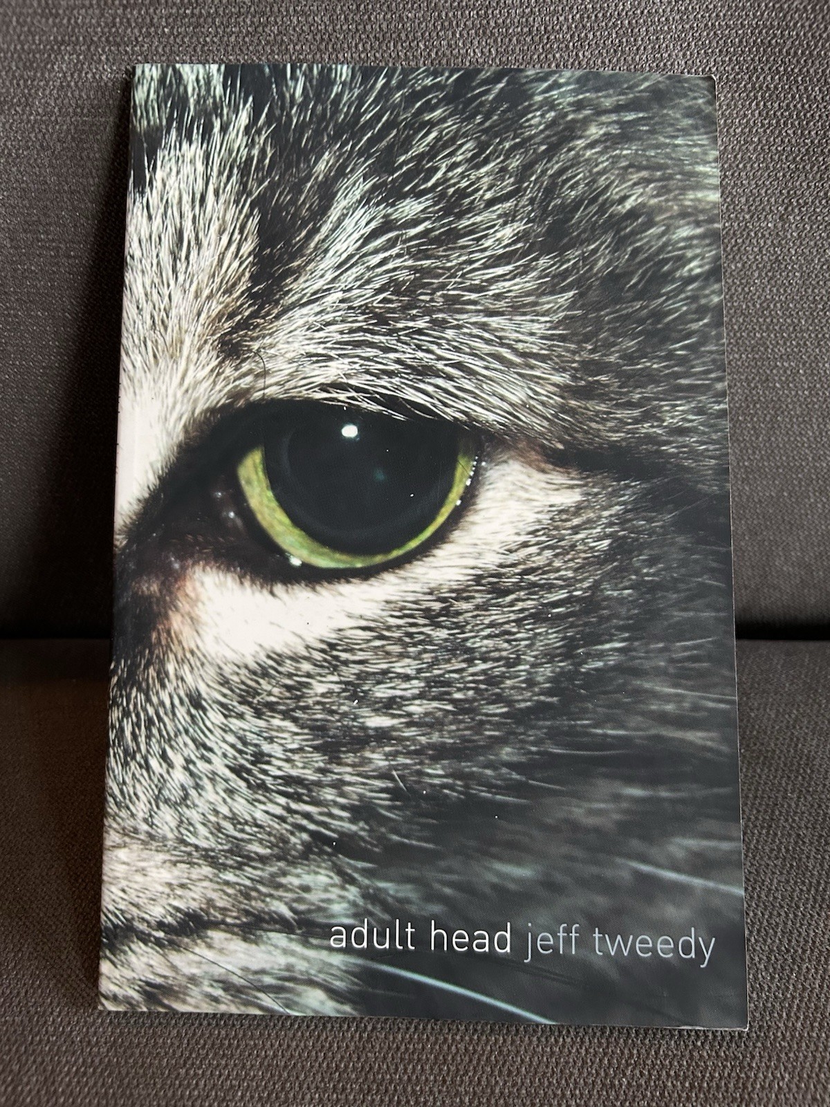Adult Head Poems By Jeff Tweedy Wilco First Edition Paperback 2004 Zoo Press WOW