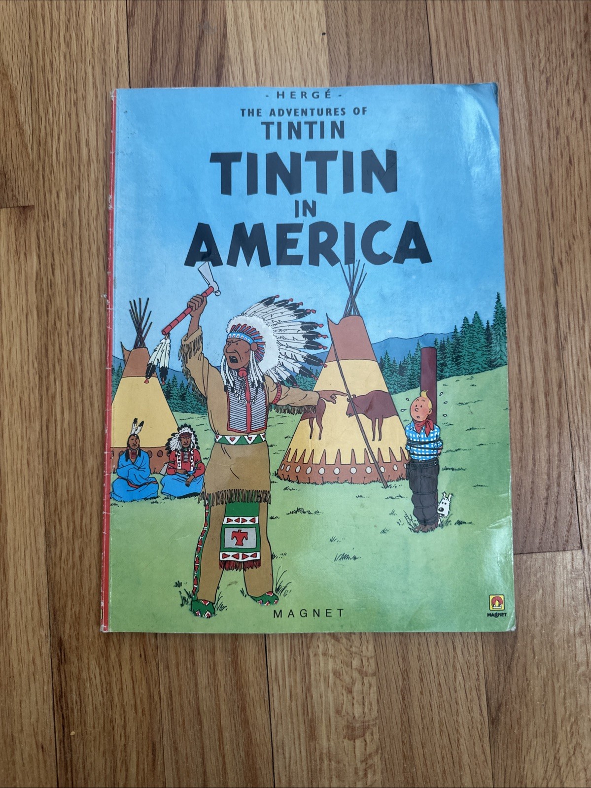 Tintin in America