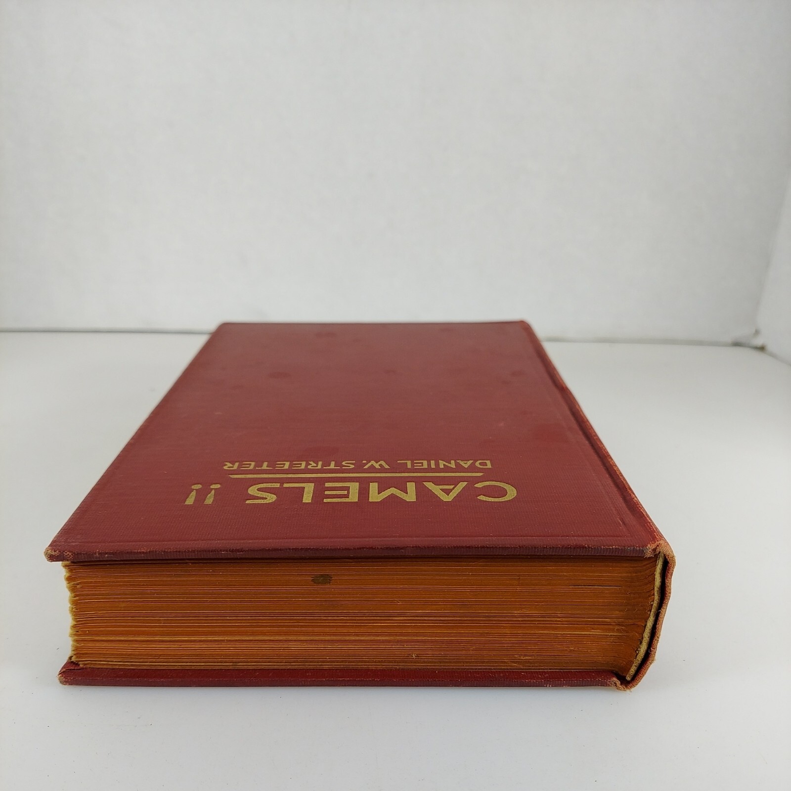 CAMELS! Daniel W. Streeter 1927 4th Impression Illustrated HC G.P. Putnam’s Sons