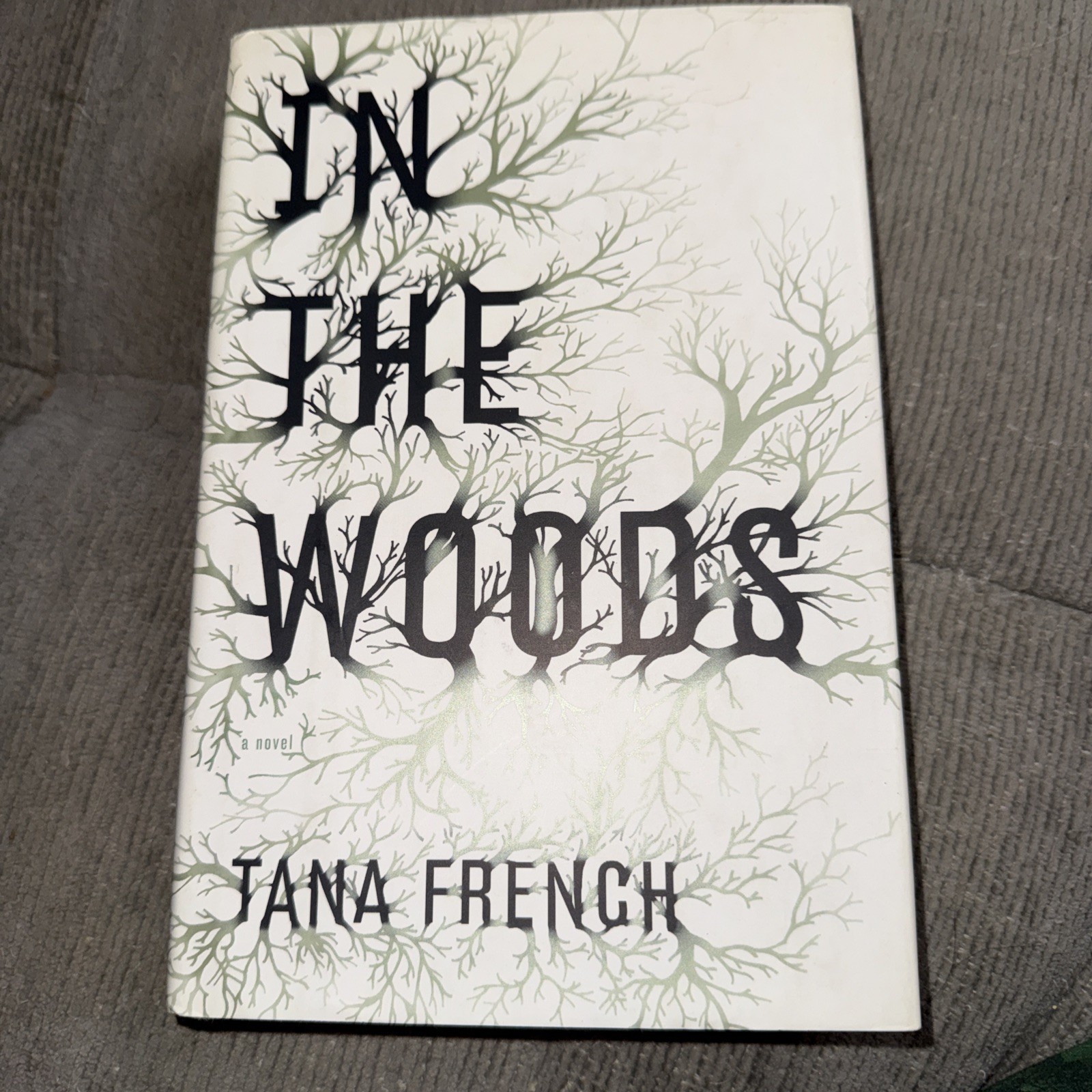 In the Woods Tana French 2007 First American Edition First Printing Hc/DJ Viking