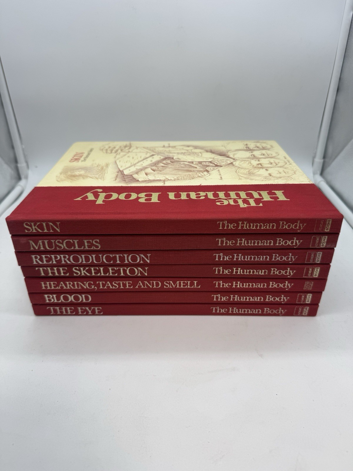 Vintage 80’s The Human Body Book Lot 7 HC US News Books Anatomy Science Medical
