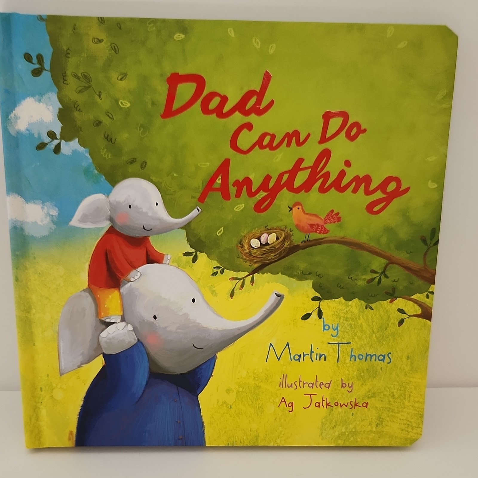 Dad Can Do Anything by Martin Thomas, Illus. Ag Jatkowska (2018, Board Book)