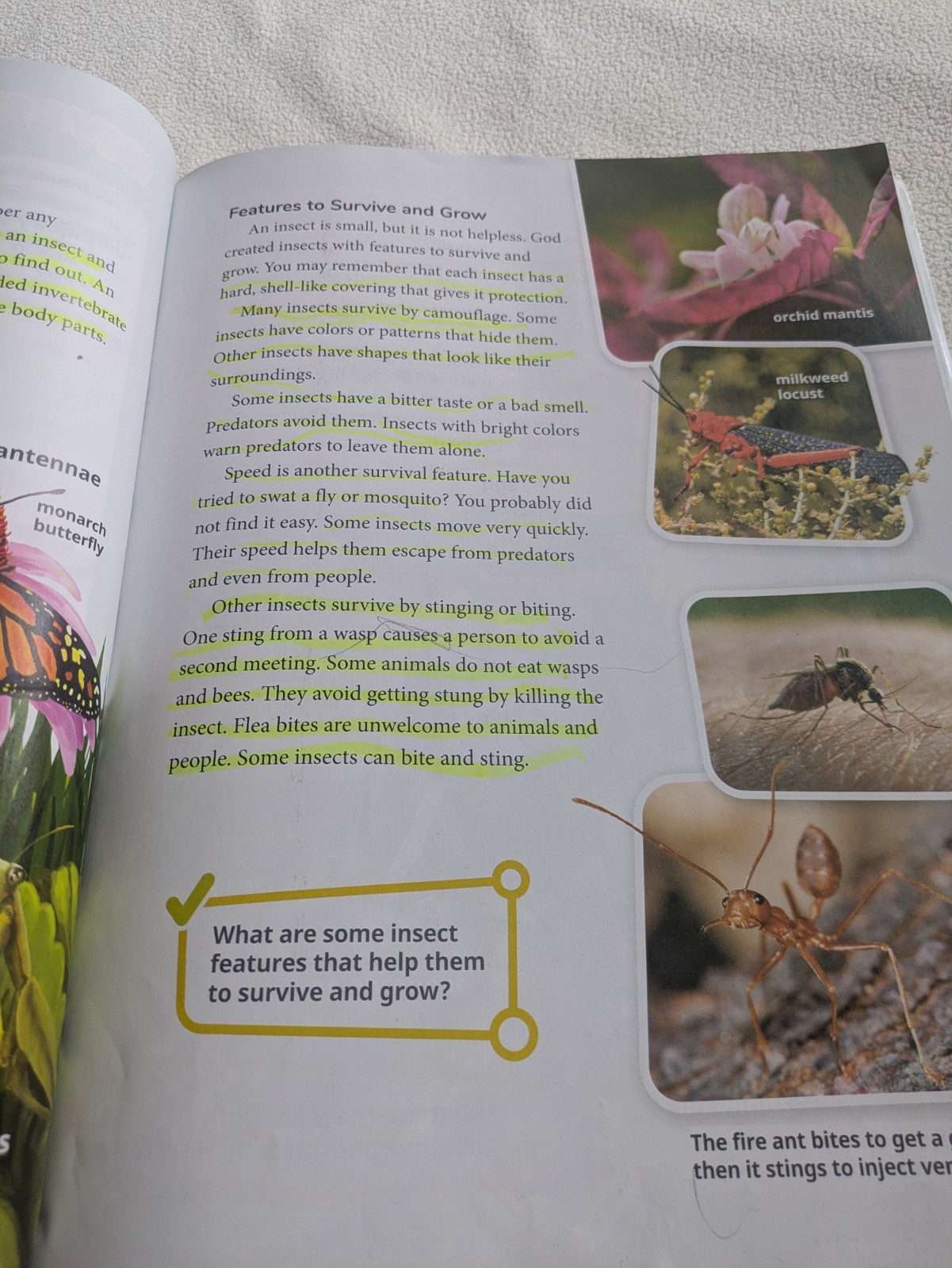 Budget Friendly, Acceptable, BJU Press, 3rd Grade Science Text, Fifth Edition