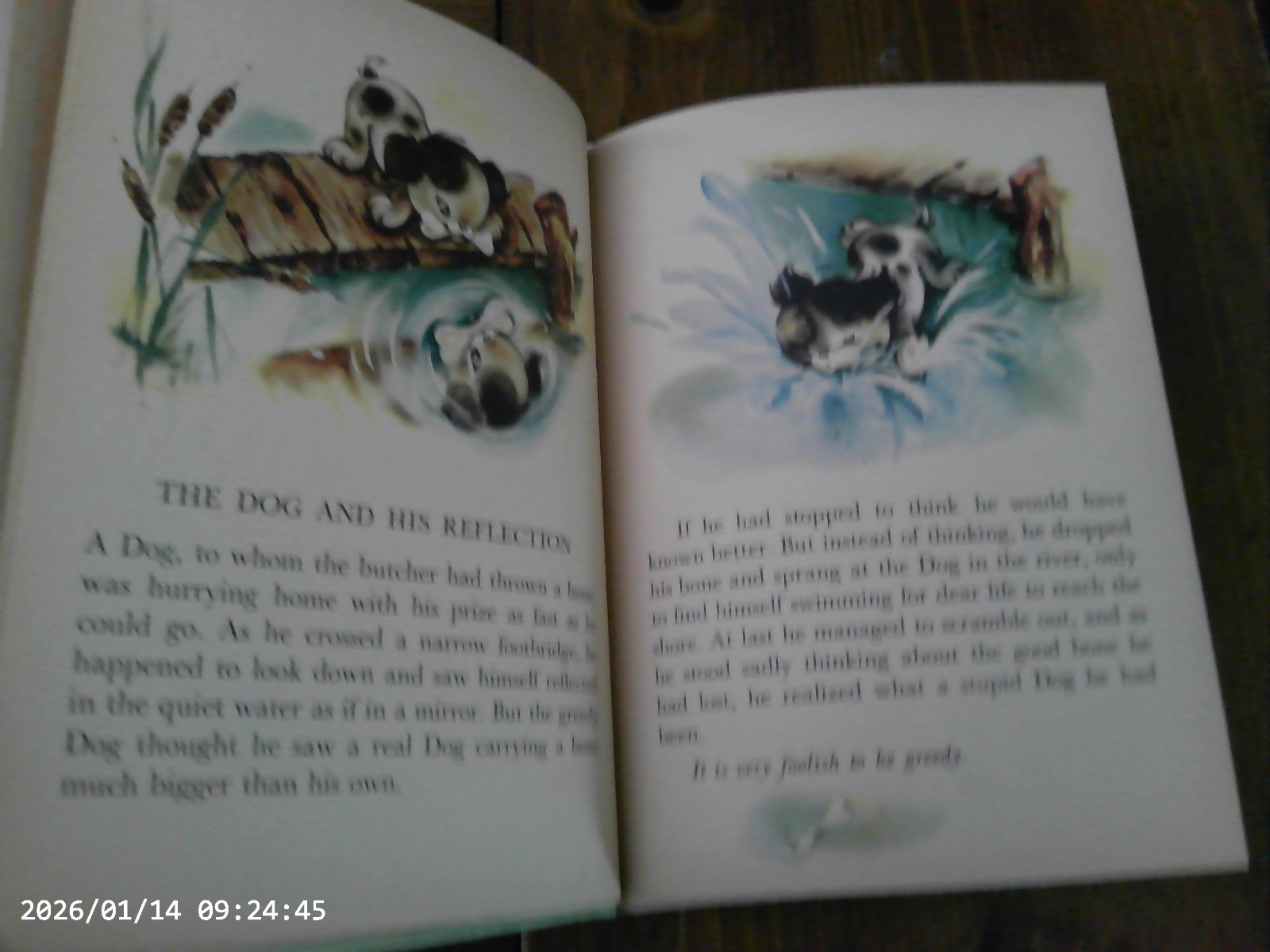 Aesop’s Fables, A Rand McNally Book,1952(VINTAGE Children’s)