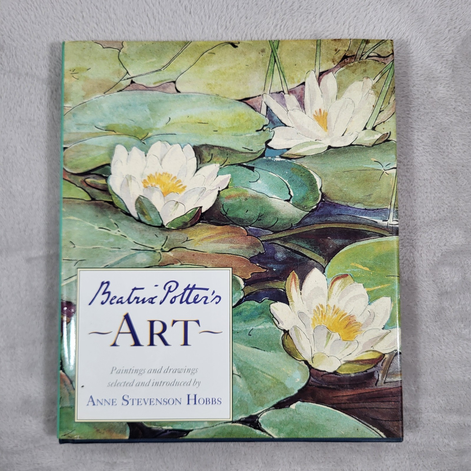 Beatrix Potter’s Art Anne Stevenson Hobbs Hardcover Book 1st Edition Paintings
