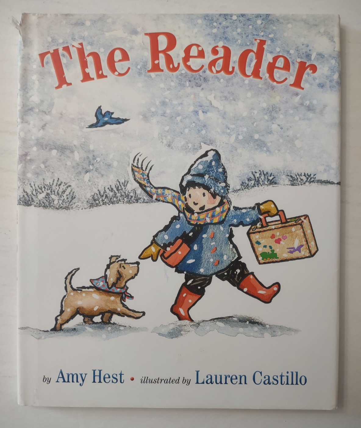 The Reader hardback book Amy Hest Lauren Castillo 2012 Amazon Publishing