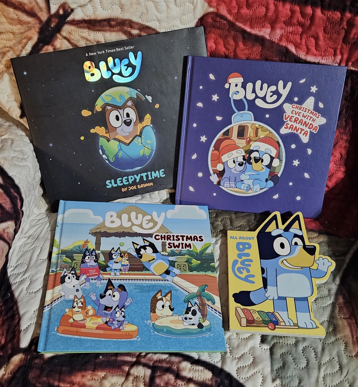 Bluey Books Lot Of 4