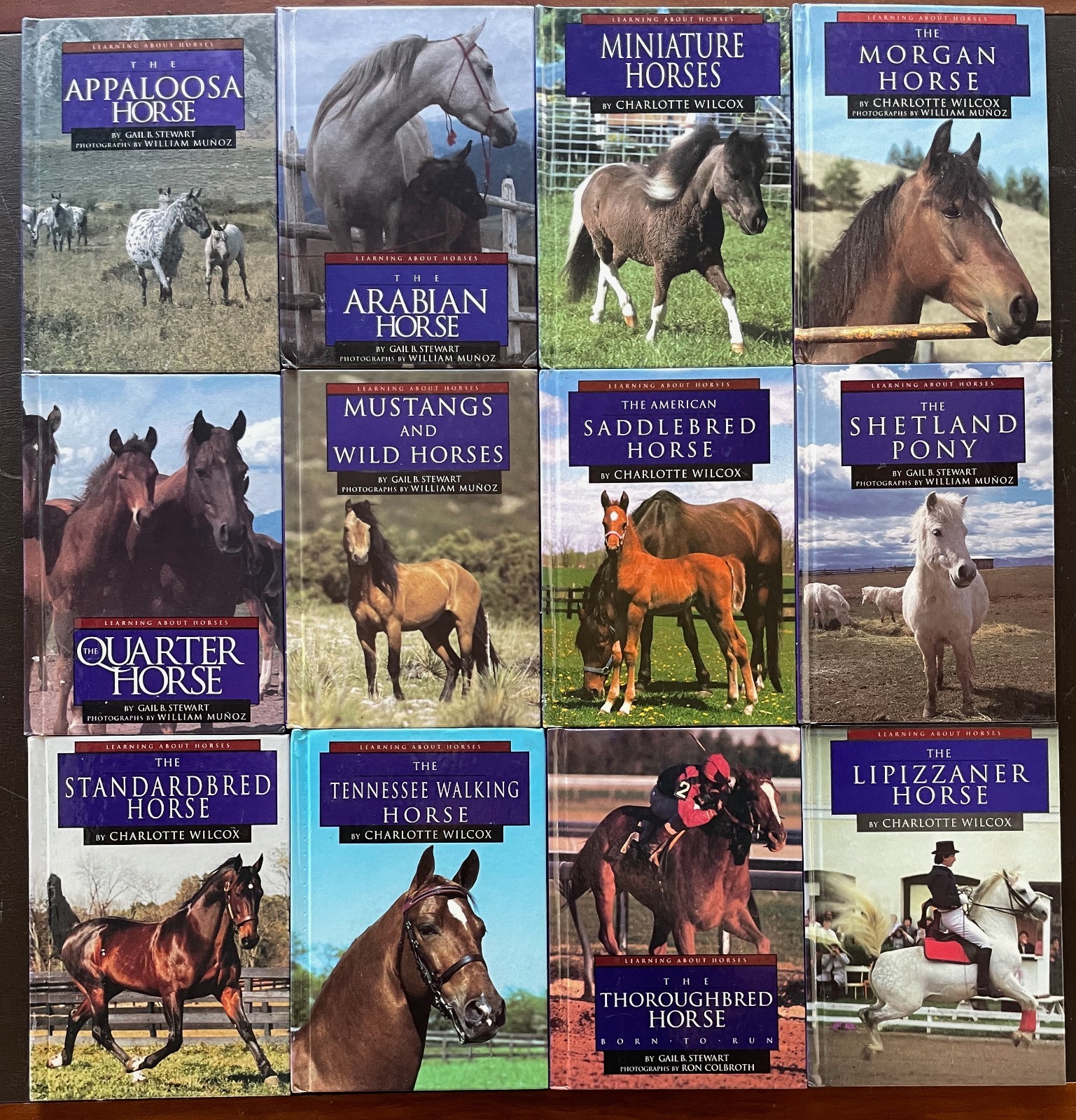 Lot of 12 LEARNING ABOUT HORSES. Capstone. Library binding. Ex-lib. Good Cond.