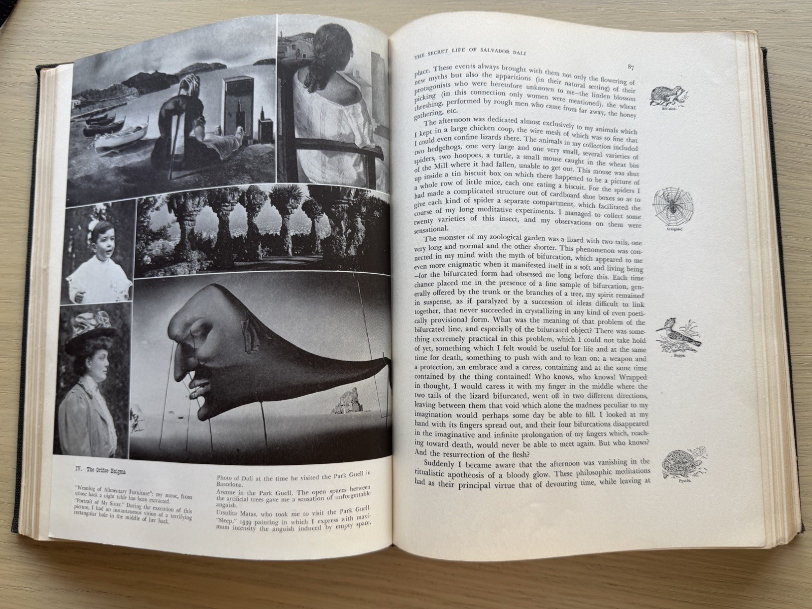 Salvador Dalí: The Secret Life of Salvador Dalí (1942) 1st Ed. – No Dust Jacket