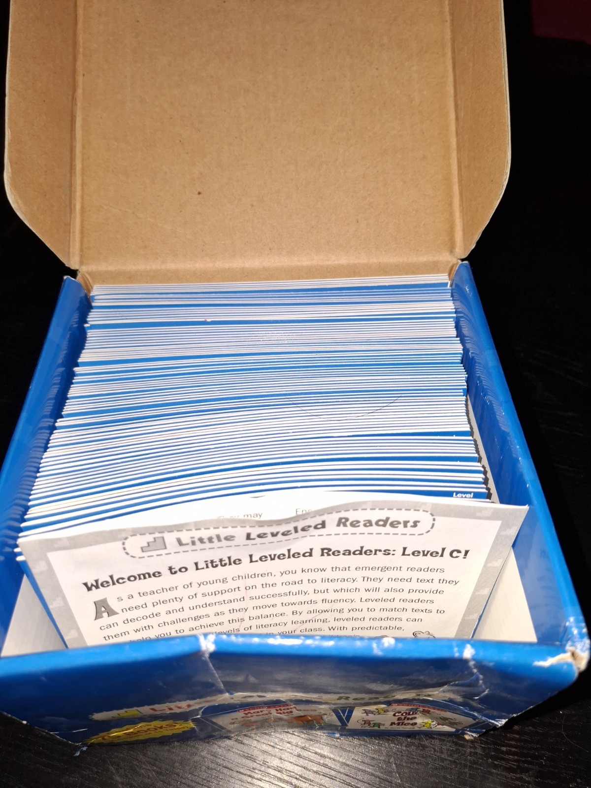 Little Leveled Readers Level C Box Set by Scholastic (2003, Box or Slipcased)