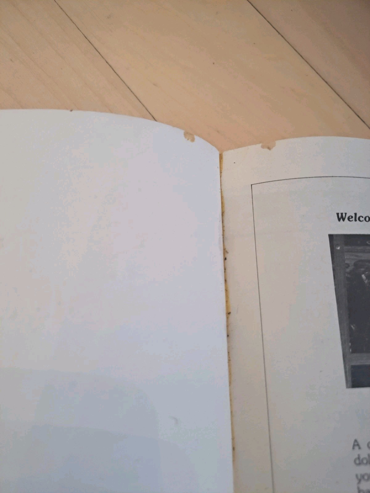 The Secret: A Treasure Hunt 1982 First Edition Bantam Paperback Palencar Preiss