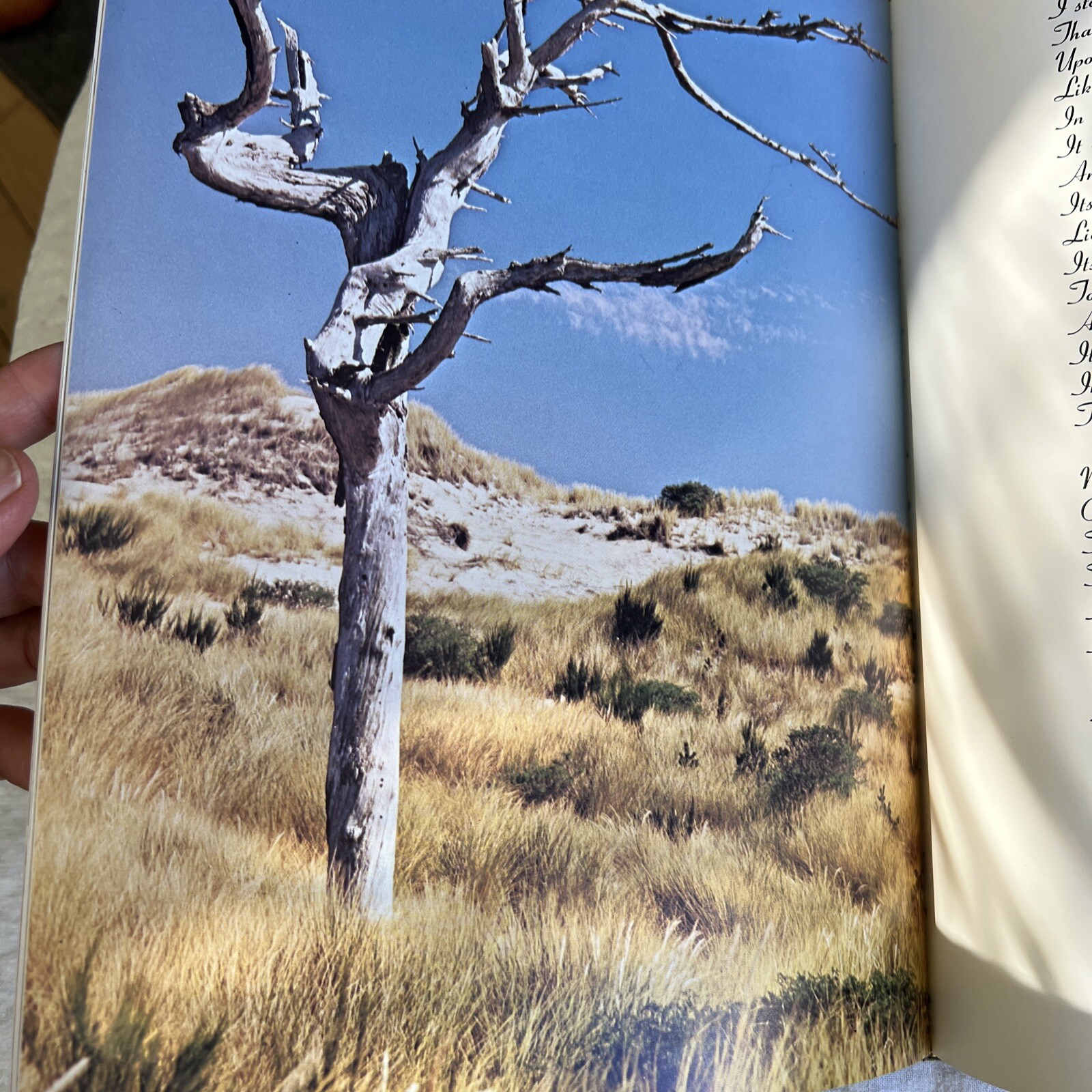 THE LIVING DUNES by JERRY LARSON 1976 Hard Cover Dust Cover 1st Edition- Signed*