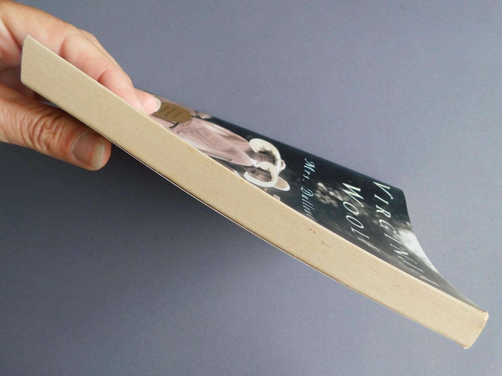 Mrs. Dalloway – by Virginia Woolf – 1981 paperback