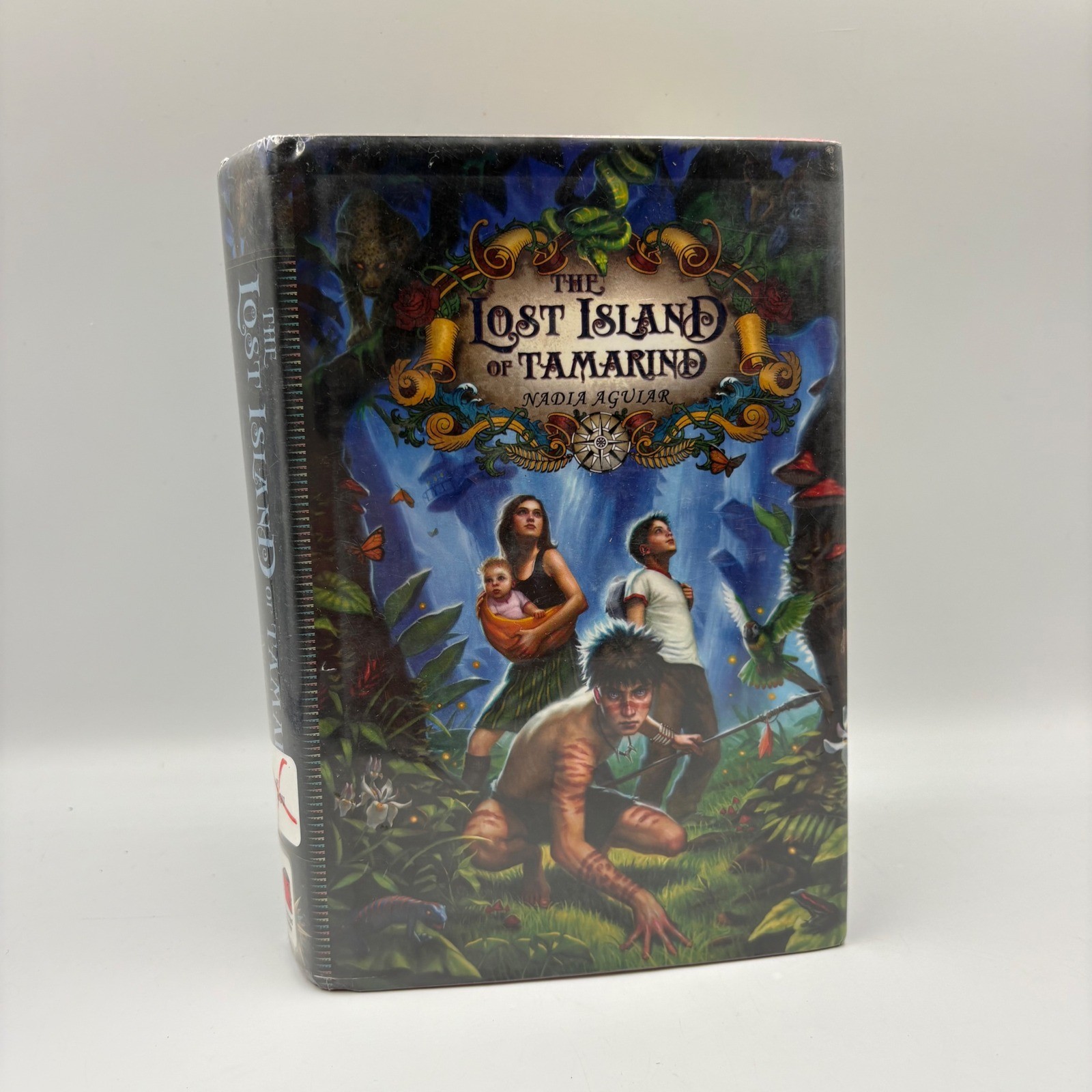 Feiwel & Friends The Lost Island of Tamarind Kids Multi 1st Ed Hardcover
