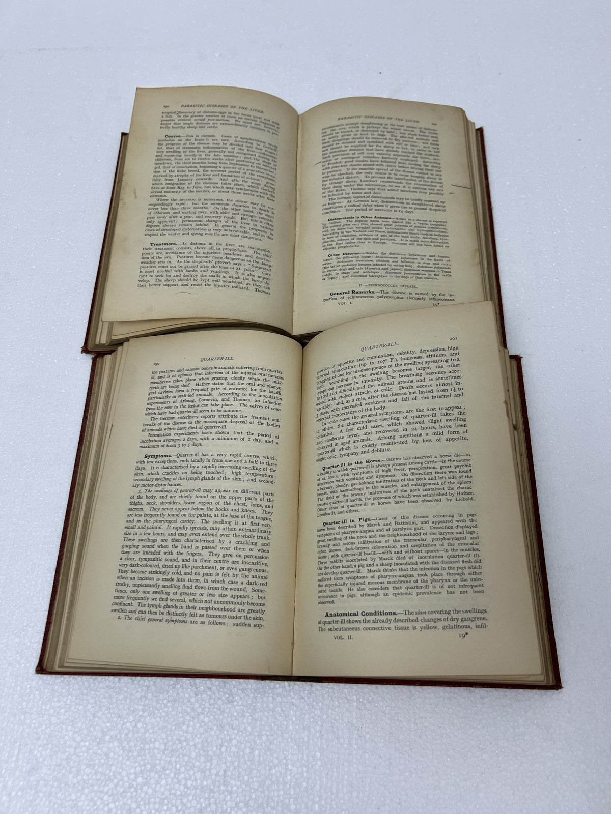 Friedberger & Frohner’s Veterinary Pathology 1909 2 Vol Set MH Hayes farm 6th Ed