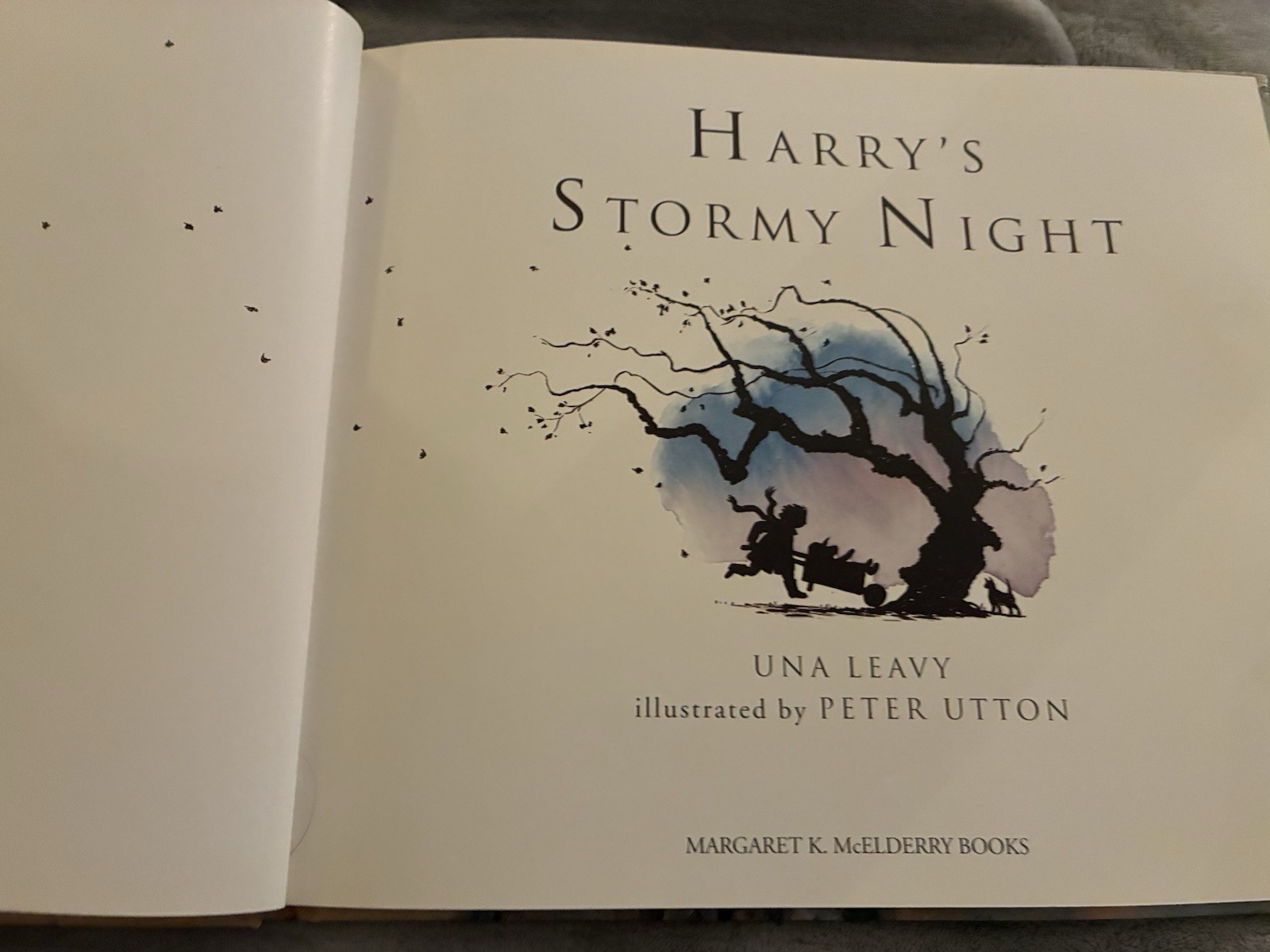 Harry’s Stormy Night by Una Leavy 1995 1st Am. Ed.