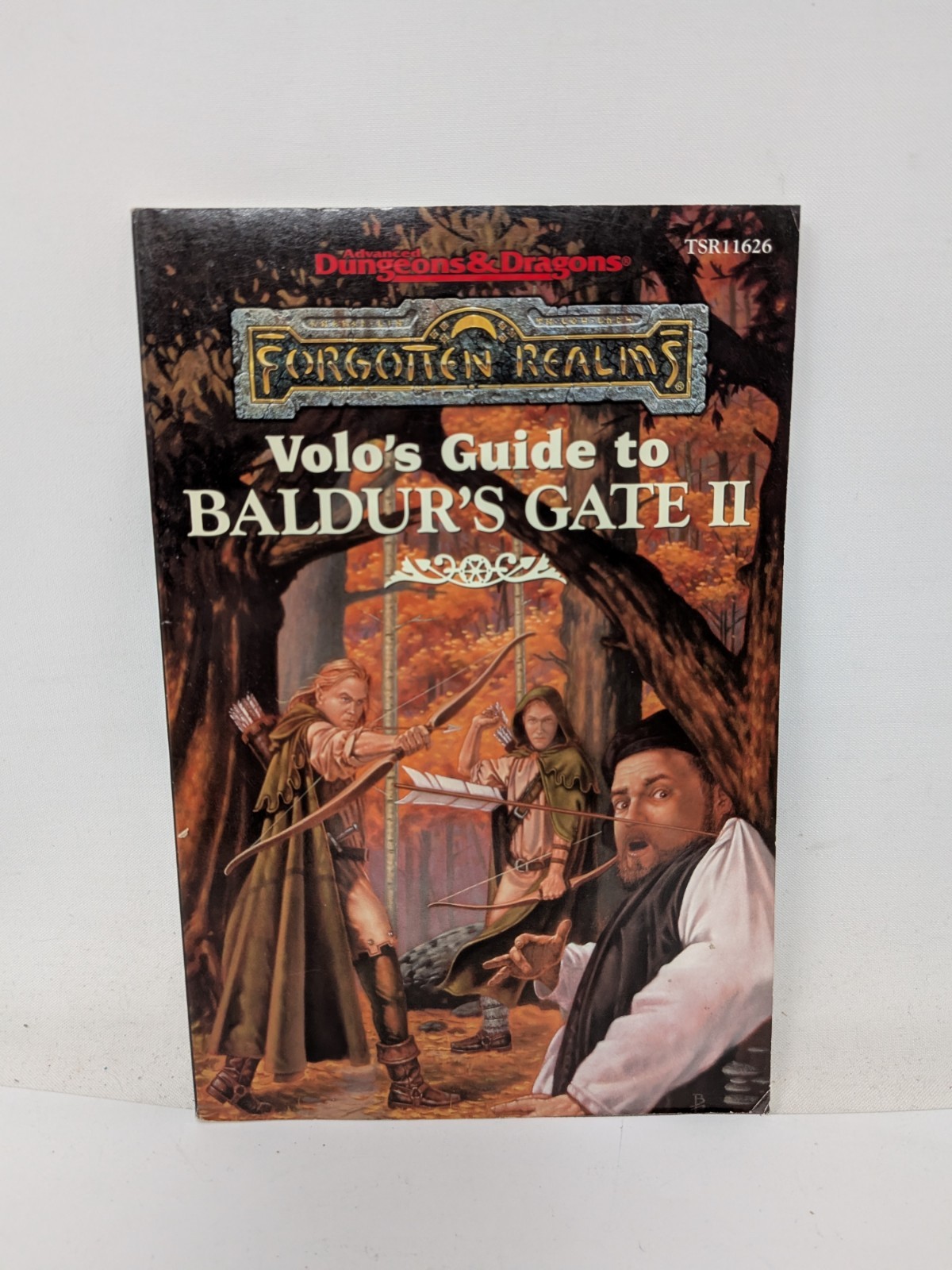 Dungeons & Dragons: Forgotten Realms: Volo’s Guide: YOU CHOOSE