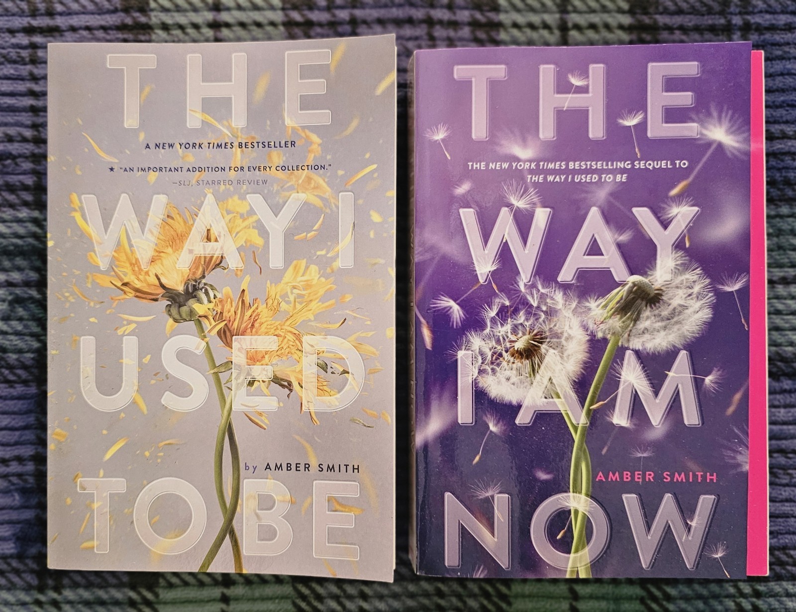 The Way I Used To Be And The Way I Am Now By Amber Smith Paperback Books