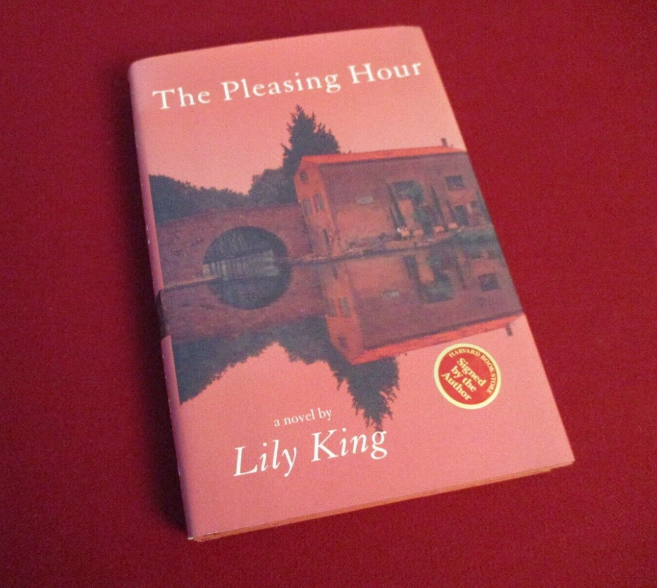 SIGNED ~ The Pleasing Hour by Lily King (1999) 1st/1st Edition Hardcover Novel