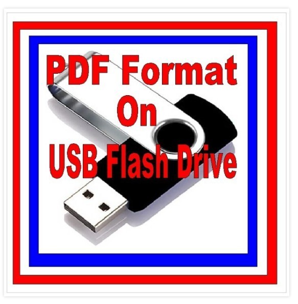 THE DELINEATOR 1900S 110 Unique Issues In PDF Format On USB Flash Drive