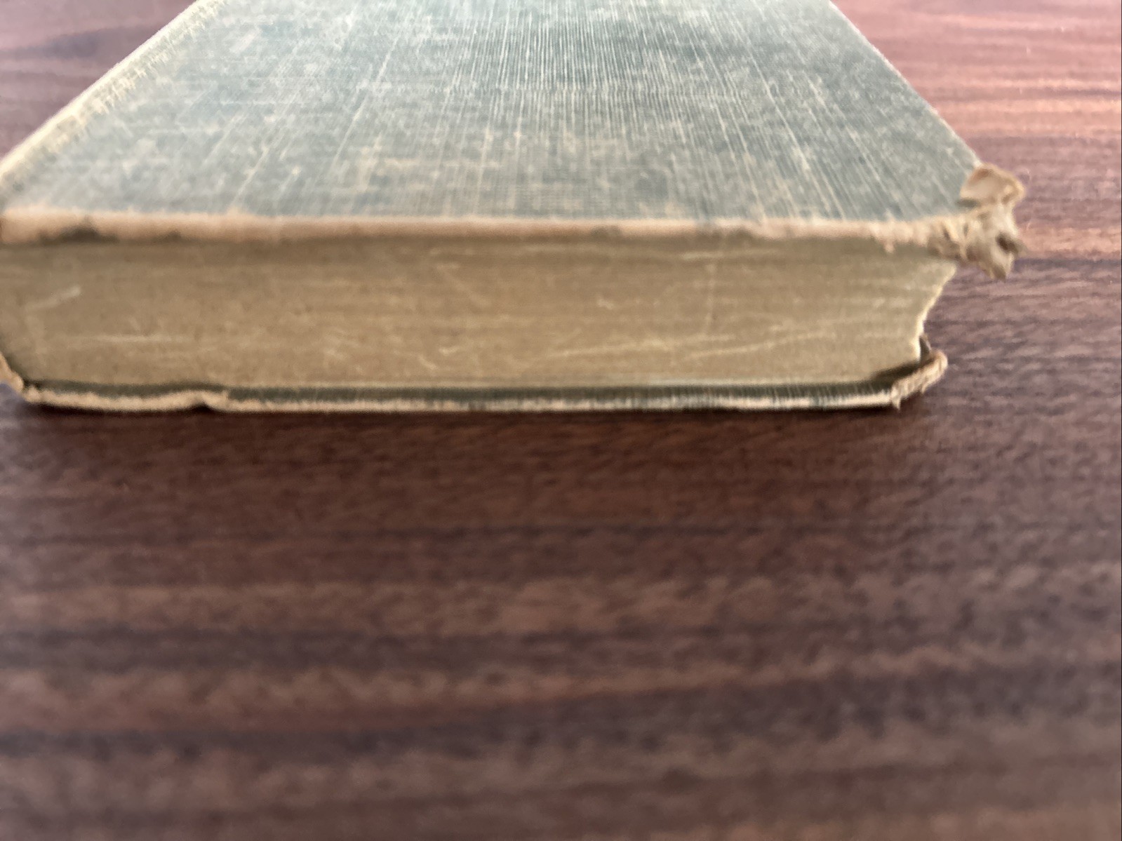 Bambi by Felix Salten w/ Kurt Wiese illustrations c. 1929 Thrushwood Book HC