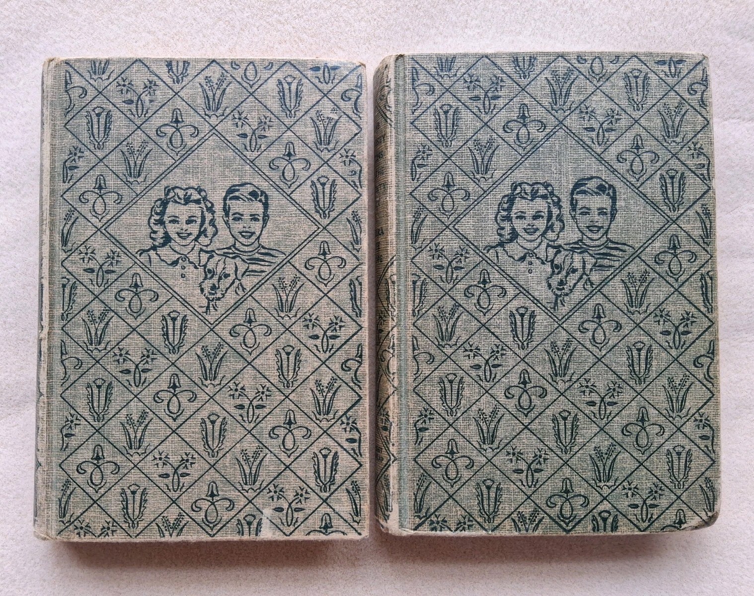 The Bobbsey Twins 1922 & 1934 Vintage Hardcover Childrens Book Lot Of 2 Ex-Lib