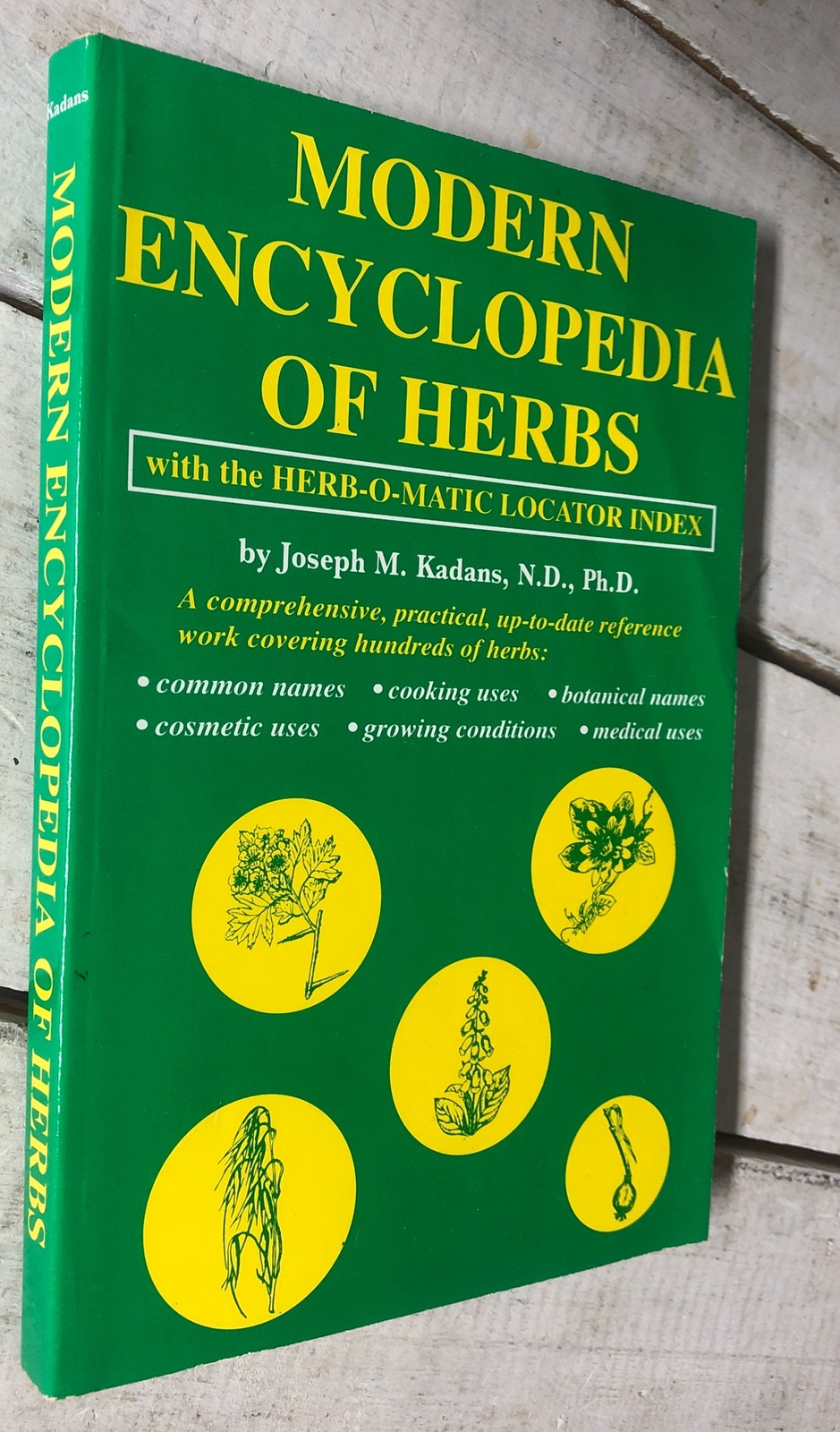 Modern Encyclopedia of Herbs | Deni Bown | Paperback | Herbal Guide