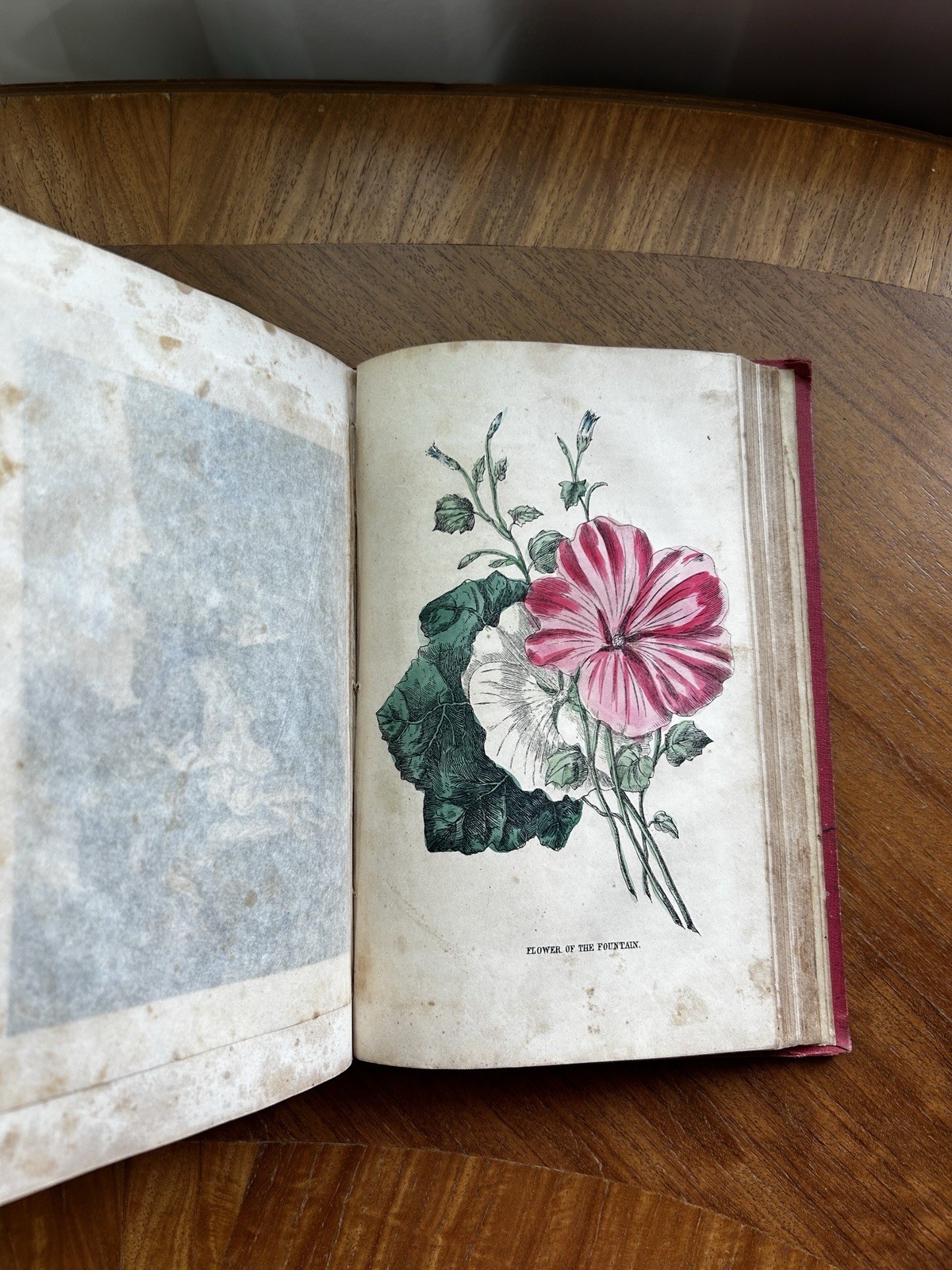 Family Annual Gift Book 1853 Hand Colored Flower Plates Cyrus Stone Pretty Book