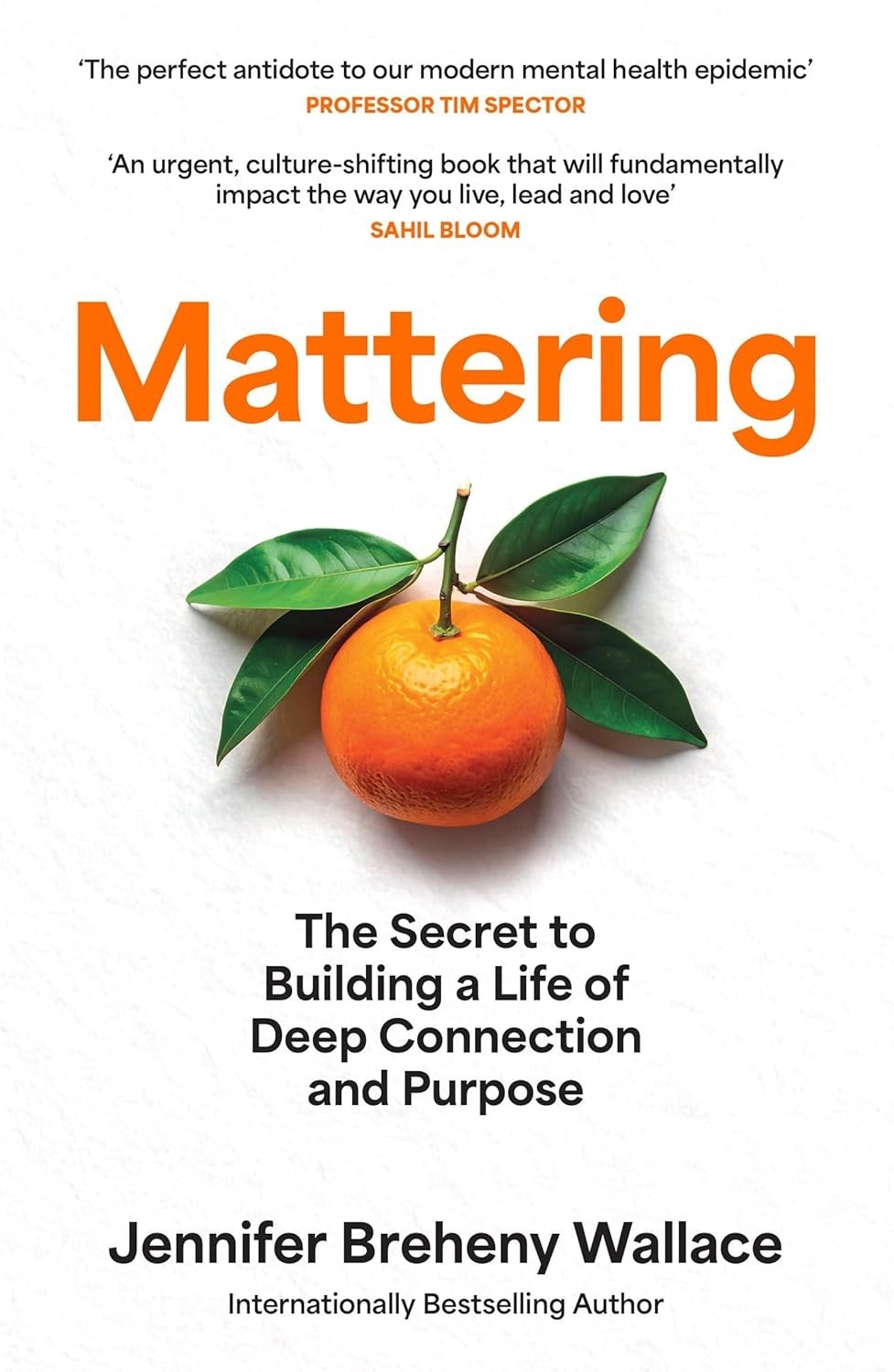 Mattering: An urgent, culture-shifting book that will fundamentally PB
