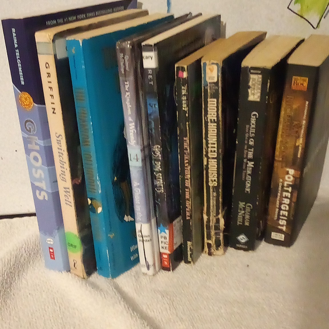 ghost &ghoul /haunted house / horror book lot/ 9 books total