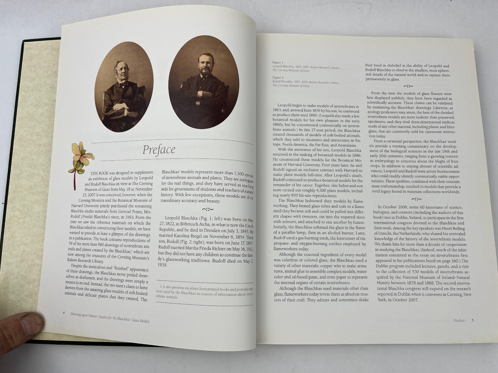2007 Drawing Upon Nature: Studies for the Blaschkas’ Glass Models Botanical Ills