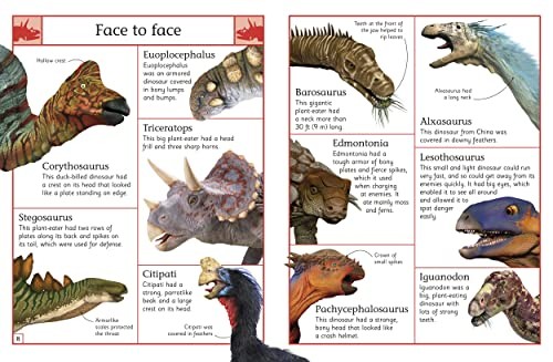 The Big Book of Dinosaurs, Dk