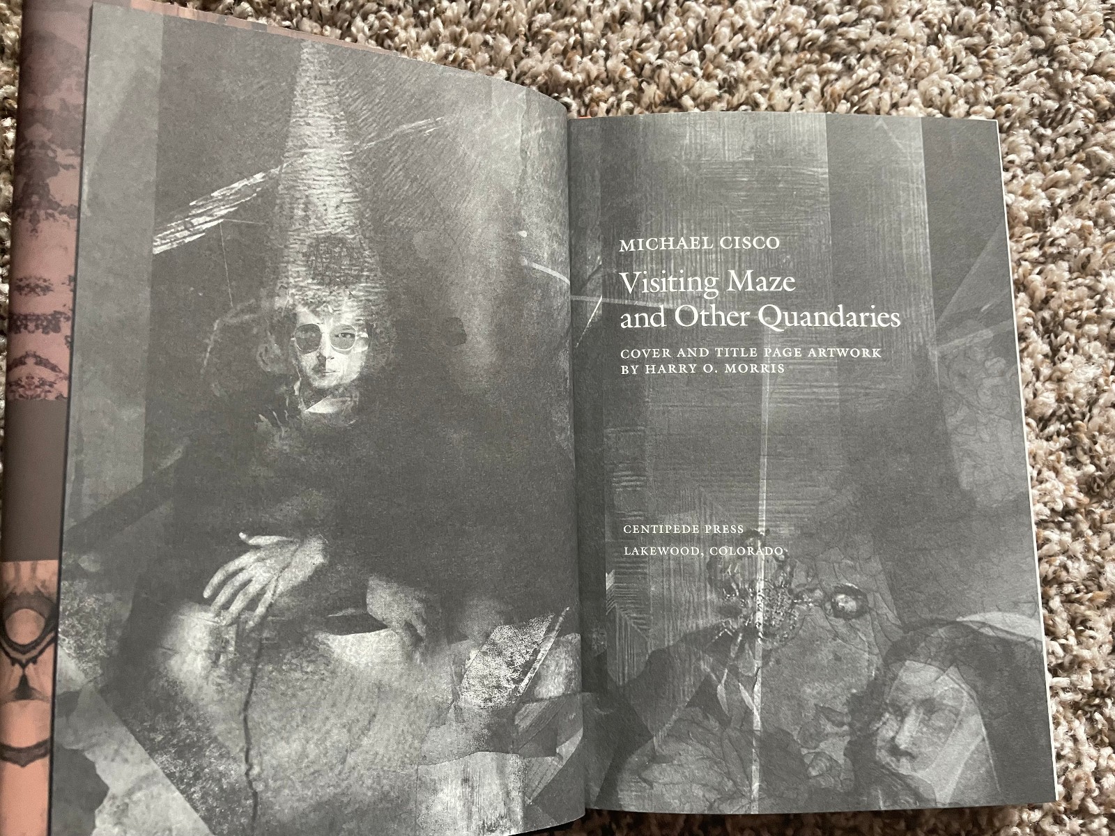VISITING MAZE Michael Cisco 1st ed 300 copy SIGNED/NUMBERED Centipede Press HC