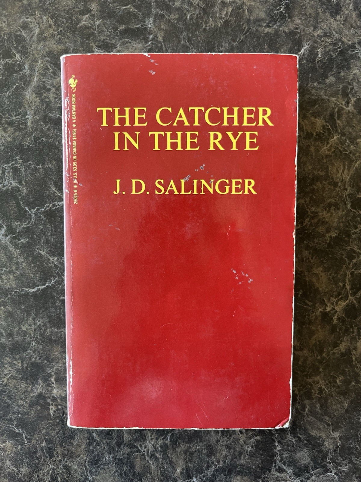 Vintage The Catcher in the Rye by J.D. Salinger Paperback Bantam 1964 Unabridged