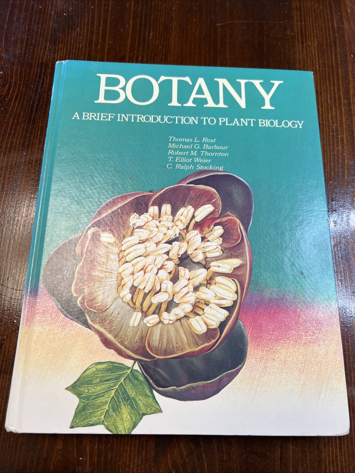 Botany: An Brief Introduction to Plant Biology