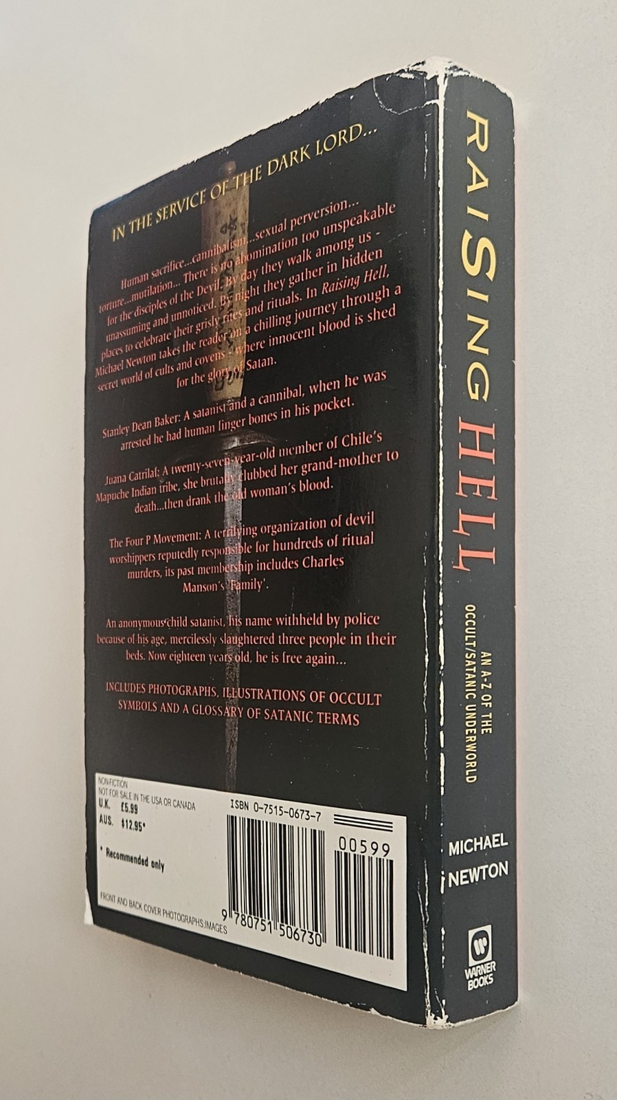 Raising Hell Encyclopedia of Devil Worship Satanic Crime Newton UK Ed PB 1994