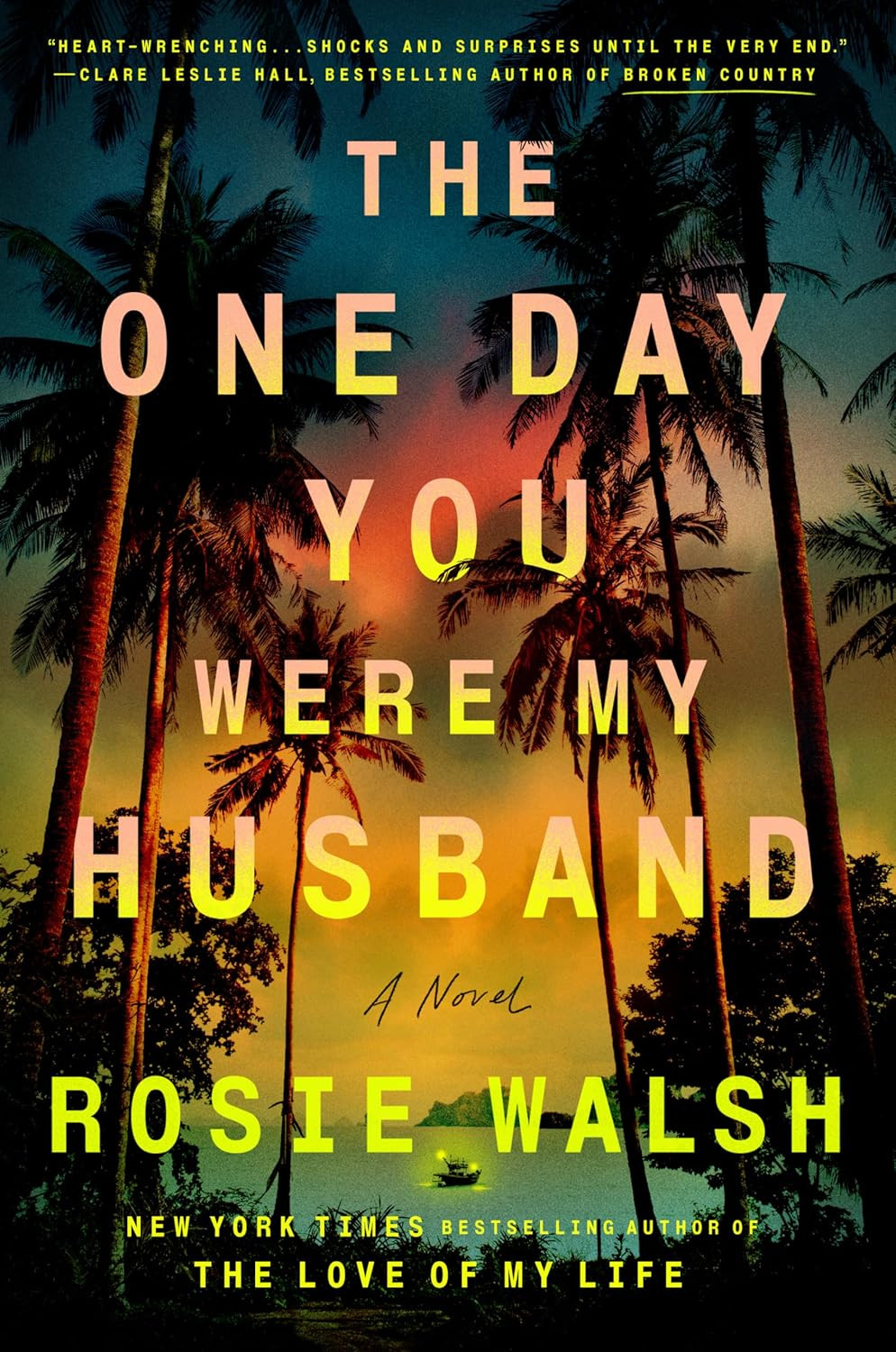 The One Day You Were My Husband: A Novel