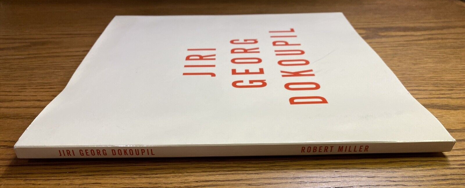 Jiri Georg Dokoupil Art First Edition 1989 Published by Robert Miller, New York
