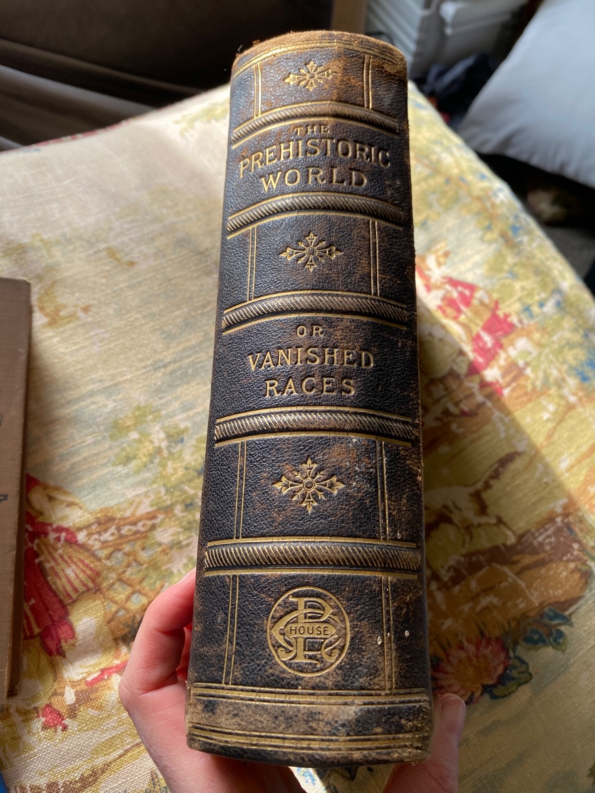 1885, The Prehistoric World: Or, Vanished Races, EA Allen, Profusely Illustrated