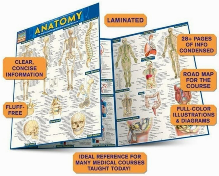 NEW QuickStudy | Anatomy Laminated Tri-Fold Study Guide *SALE $3* FAST SHIPPING!