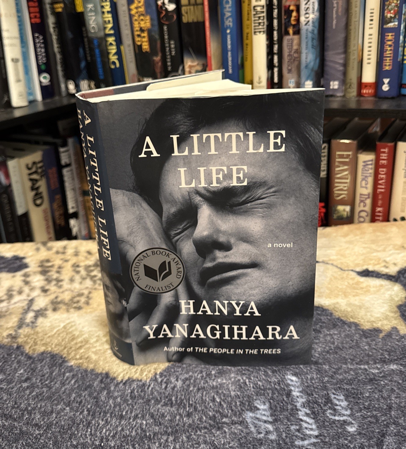 A Little Life by Hanya Yanagihara (Hardcover) First Edition/Late, HCDJ, G