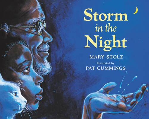 Storm in the Night – Paperback By Stolz, Mary – GOOD